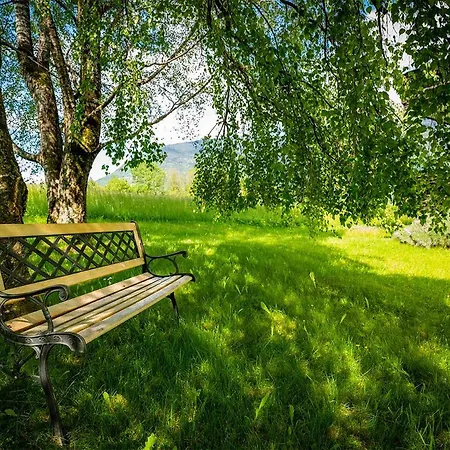 Guest house Pension Strauss 3*
