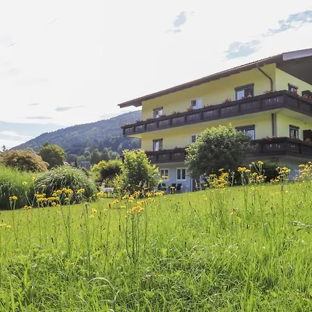 Pension Strauss 3*