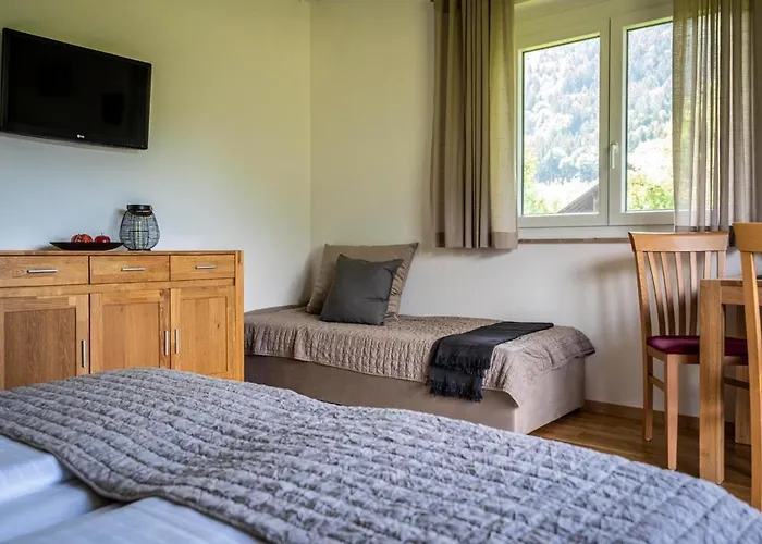 Strauss Pensjonat 3*