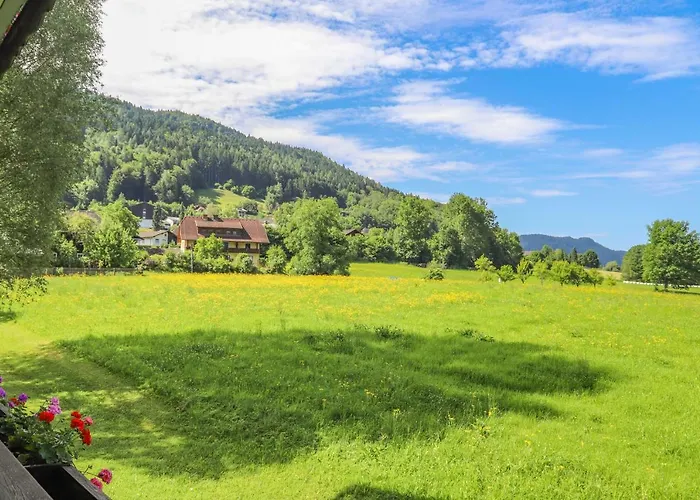 Strauss Pensjonat 3*